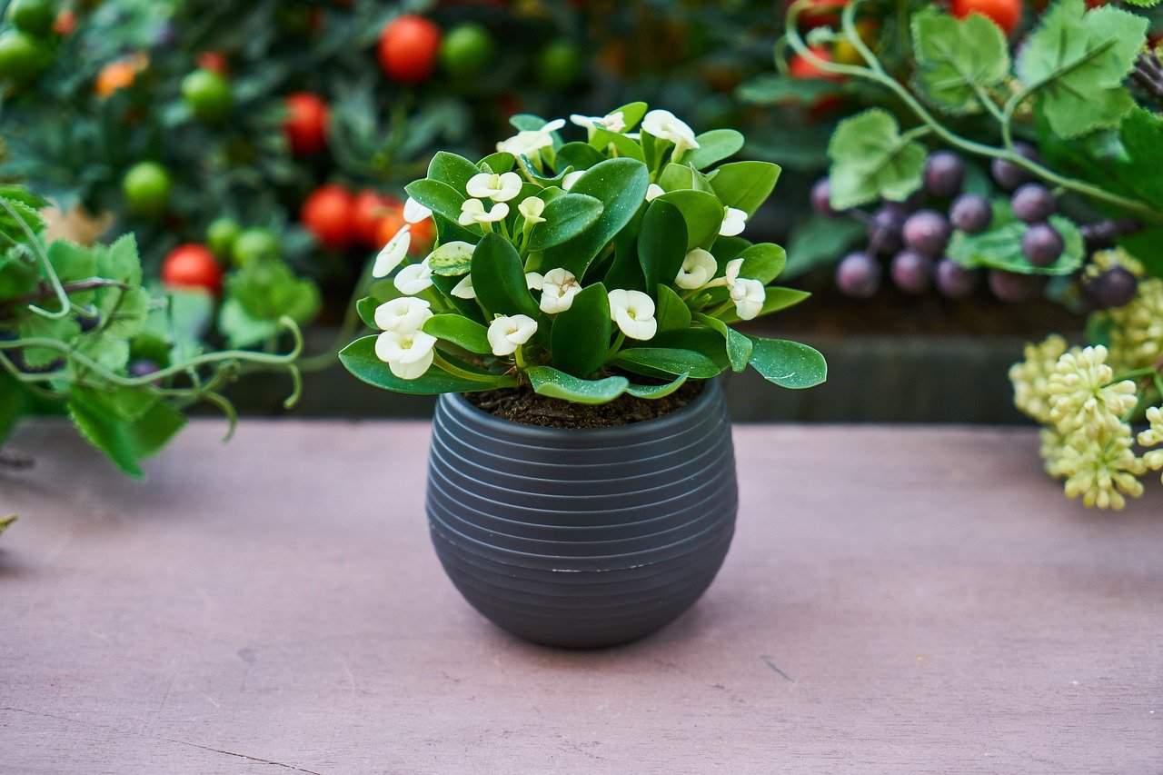 Interesting flower pot ideas for the garden