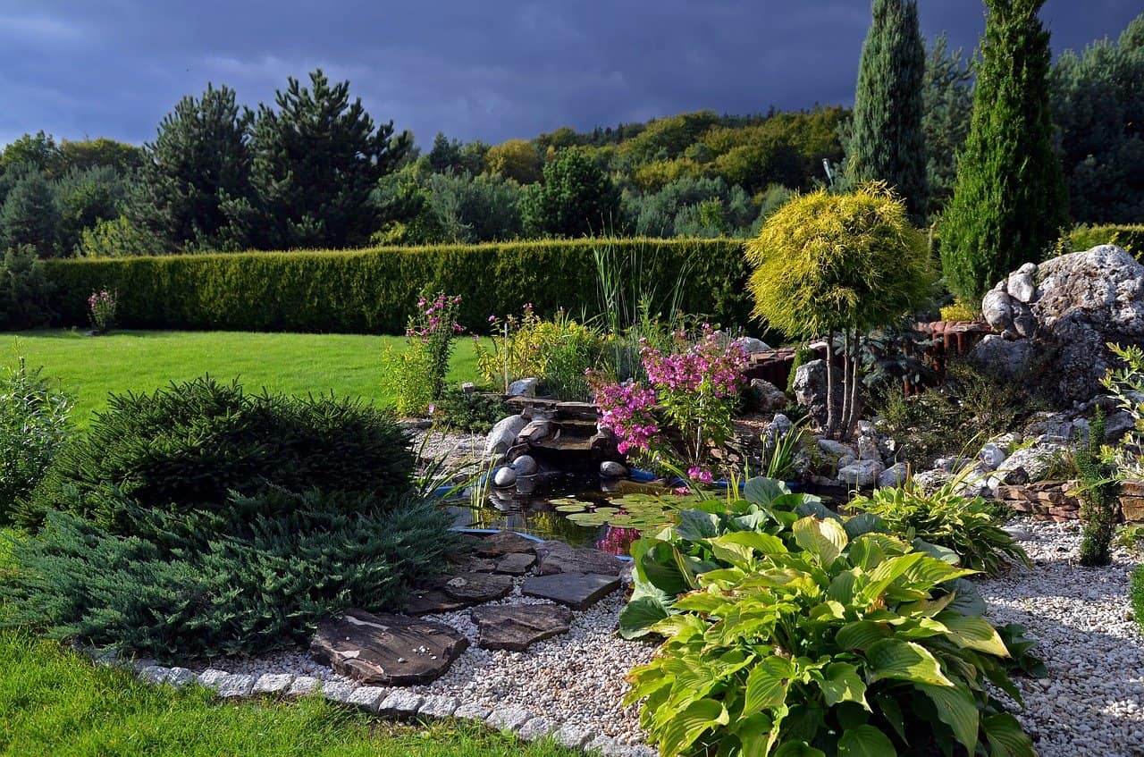 How to create a rockery in the garden by yourself?