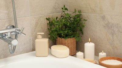 Ożyw każde wnętrze! Jakie rośliny wybrać do łazienki?