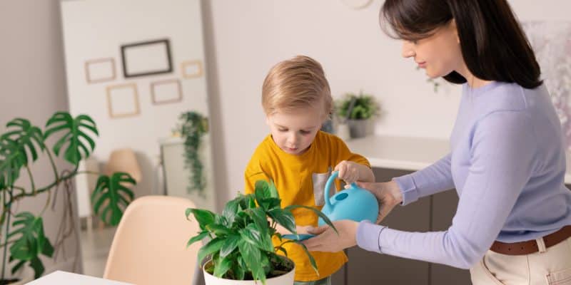 Jak nauczyć dziecko dbać o kwiaty w swoim pokoju?