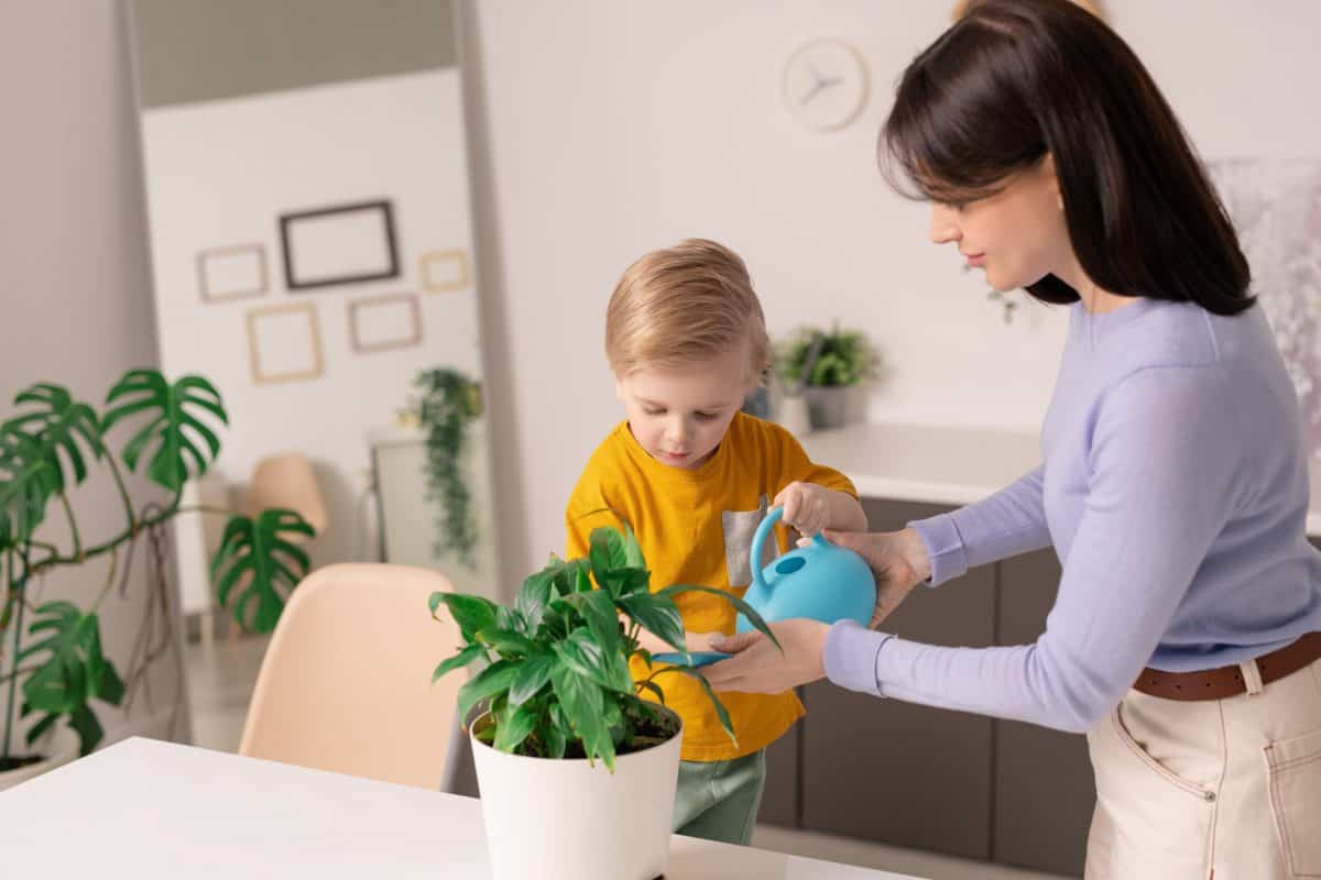 How to teach your child to take care of the flowers in their room?