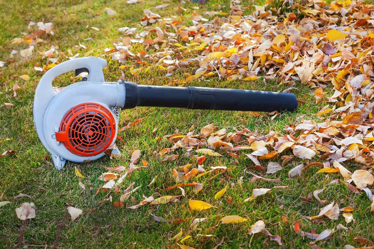 Which leaf vacuum cleaner to buy? Everything you need to know