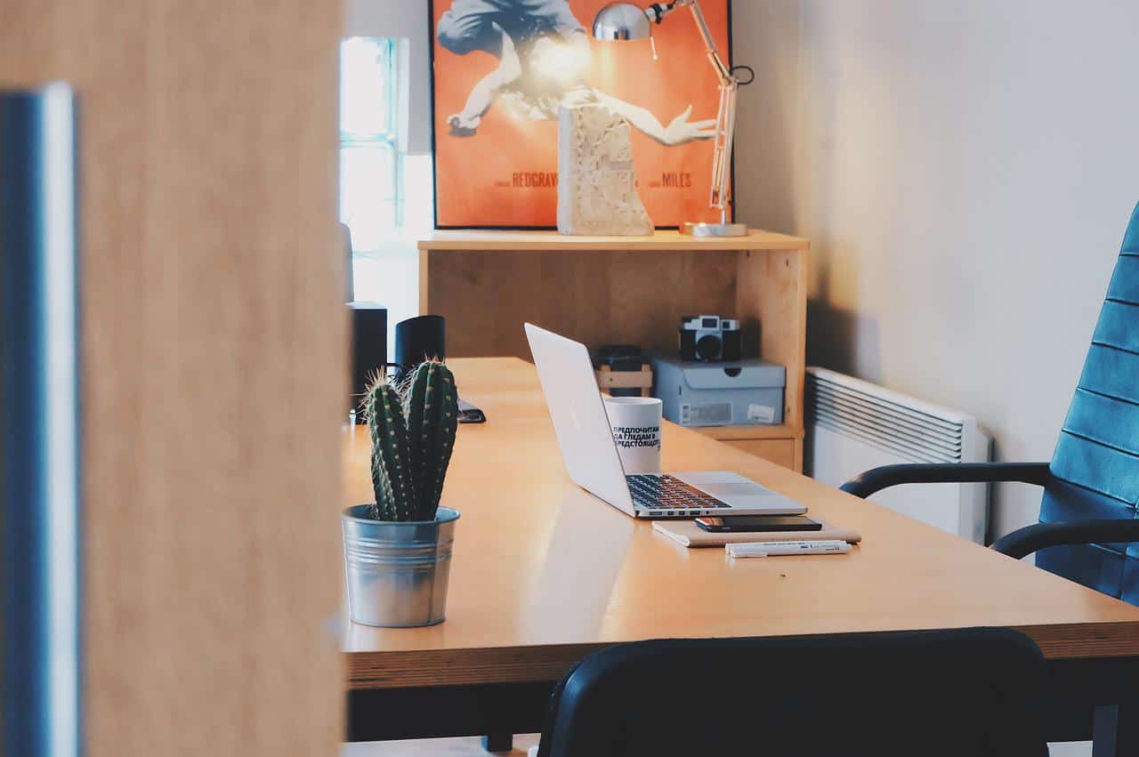 What plants to choose for a home office?