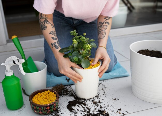 Sustainable gardening practices for an eco-friendly home