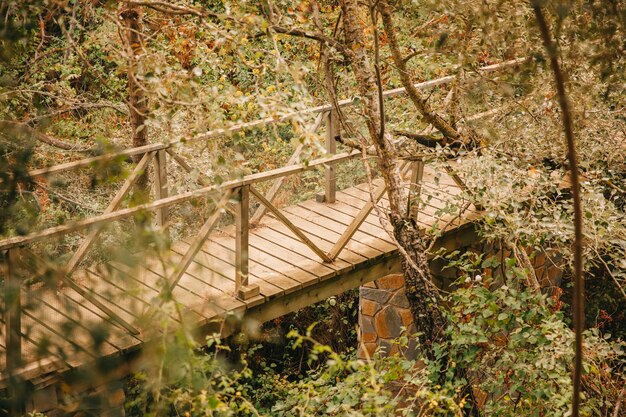 Creating a Serene Outdoor Retreat with Wooden Garden Structures